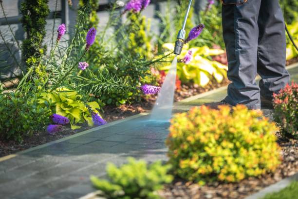 Best Gas Station Cleaning  in Elmore, OH