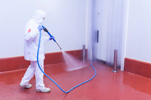 Best Winterizing Services  in Elmore, OH