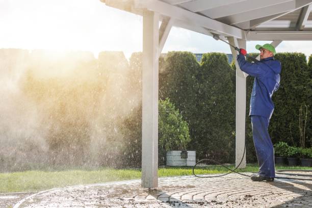 Best Graffiti Removal  in Elmore, OH