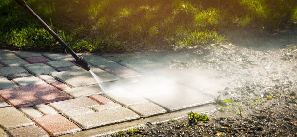 Best Fence Cleaning  in Elmore, OH